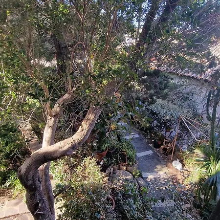 Centro, Bellissimo Con Parcheggio Privato Porto Rotondo