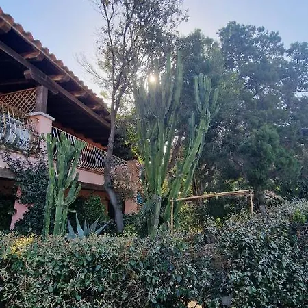 Centro, Bellissimo Con Parcheggio Privato Appartement Porto Rotondo